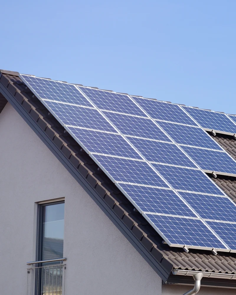 c3d1d6a698d272509c4dccc65debd47b181e42a31beede-55hX9z_fw1200webp.webp c3d1d6a698d272509c4dccc65debd47b181e42a31beede-55hX9z_fw1200webp.webp